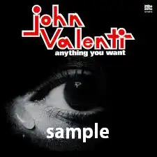 JOHN VALENTI / ANYTHING YOU WANT ／ WHY DON’T WE FALL IN LOVE