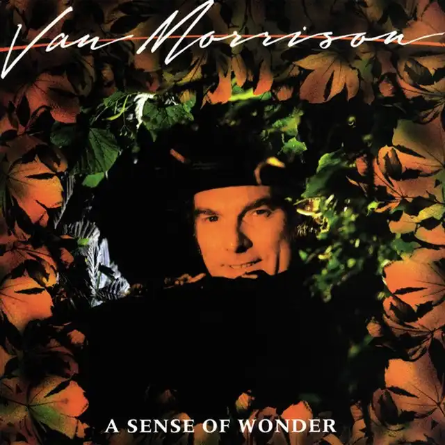 VAN MORRISON / A SENSE OF WONDER