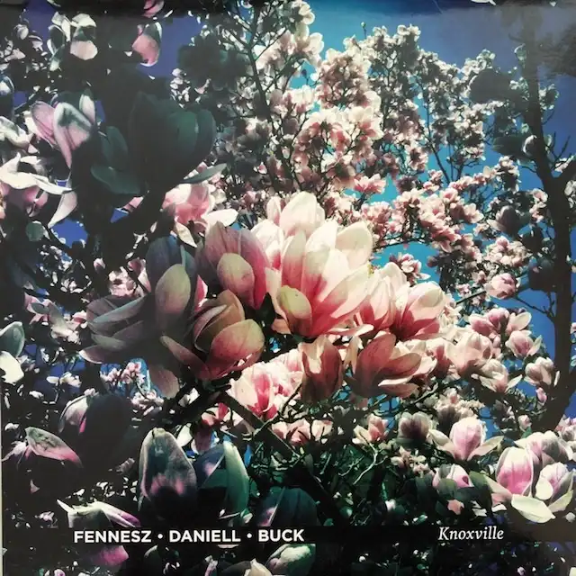 FENNESZ・DANIELL・BUCK / KNOXVILLE