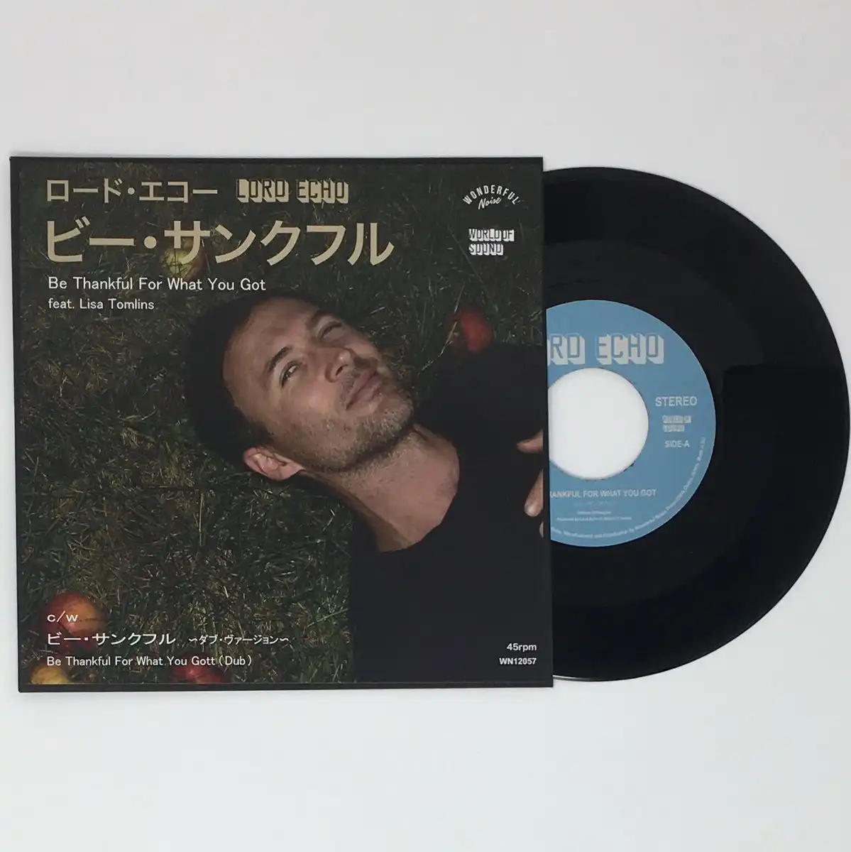 LORD ECHO / BE THANKFUL FOR WHAT YOU GOT FEAT. LISA TOMLINS