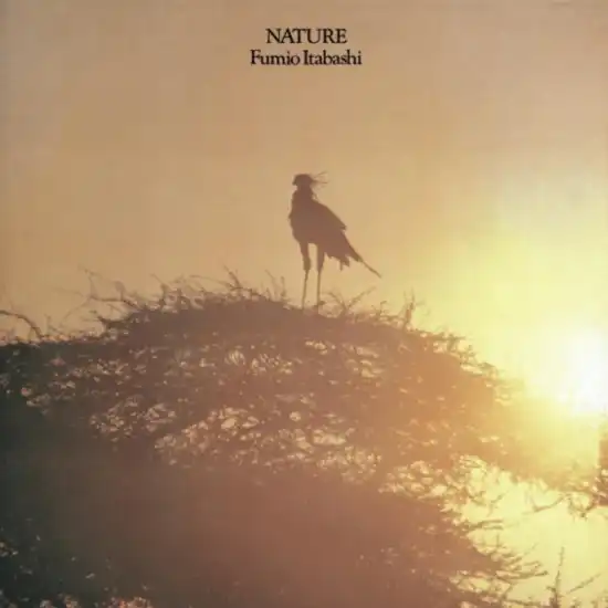 FUMIO ITABASHI (板橋文夫) / NATURE