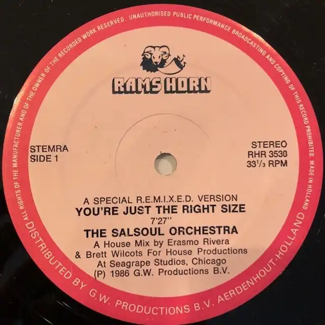 SALSOUL ORCHESTRA / YOU'RE JUST THE RIGHT SIZEΥʥ쥳ɥ㥱å ()