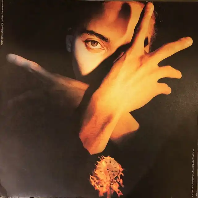 TERENCE TRENT D'ARBY / NEITHER FISH NOR FLESH