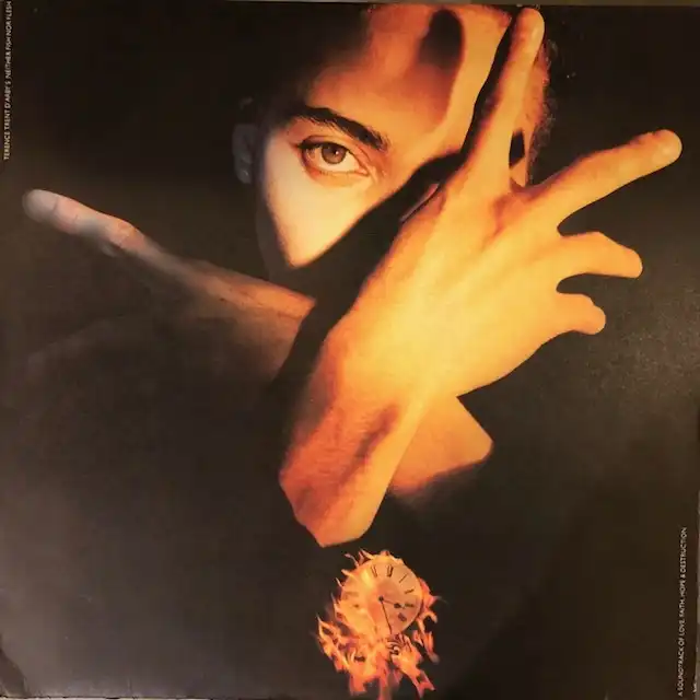 TERENCE TRENT D'ARBY / NEITHER FISH NOR FLESHΥʥ쥳ɥ㥱å ()