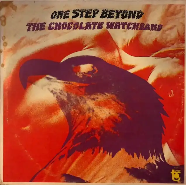 CHOCOLATE WATCH BAND / ONE STEP BEYOND