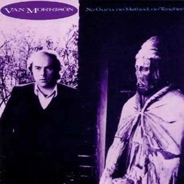 VAN MORRISON / NO GURU NO METHOD NO TEACHER