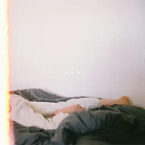 D.A.N. / CHANCE ／ REPLICA 