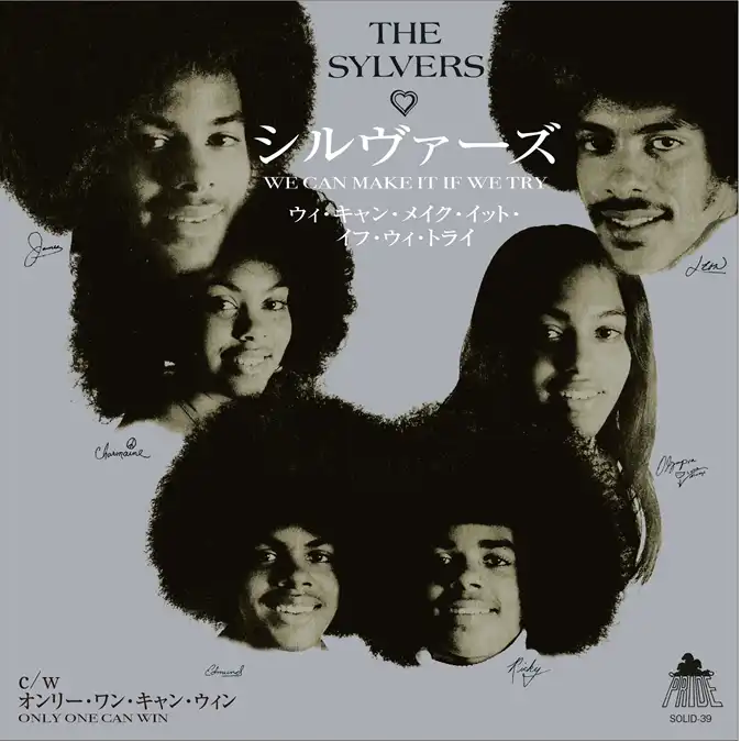 SYLVERS / WE CAN MAKE IT IF WE TRYΥʥ쥳ɥ㥱å ()