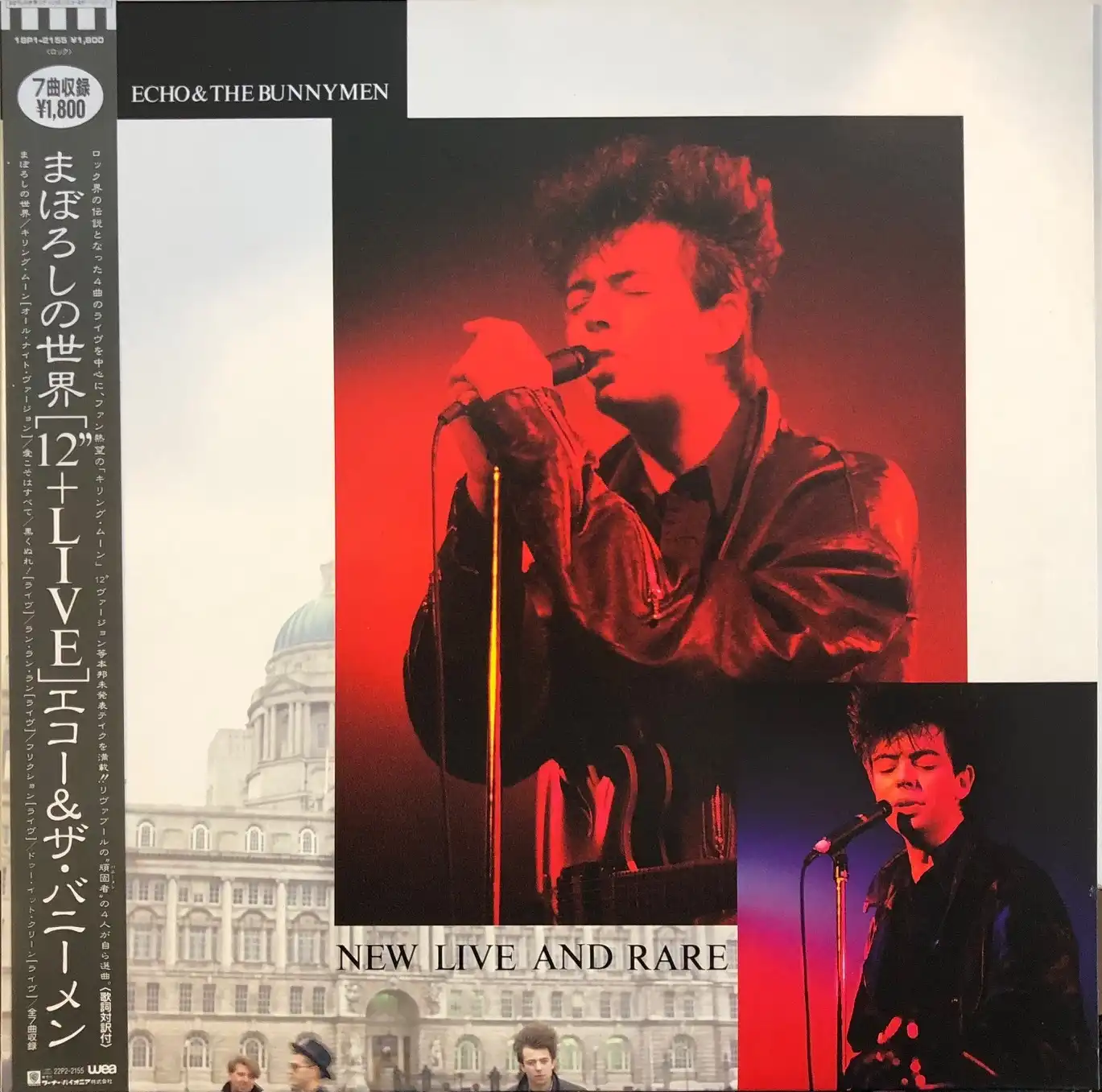 ECHO & THE BUNNYMEN / NEW LIVE AND RAREΥʥ쥳ɥ㥱å ()