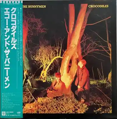 ECHO & THE BUNNYMEN / CROCODILES