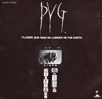 PYG / ֡ۡΥʥ쥳ɥ㥱å ()