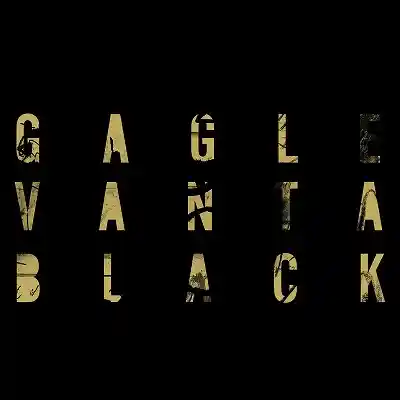 GAGLE / VANTA BLACK -LTD 2LP-