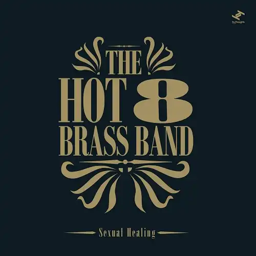 HOT 8 BRASS BAND / SEXUAL HEALINGHOT 8 BRASS BAND 