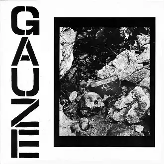 GAUZE / EQUALIZING DISTORTΥʥ쥳ɥ㥱å ()