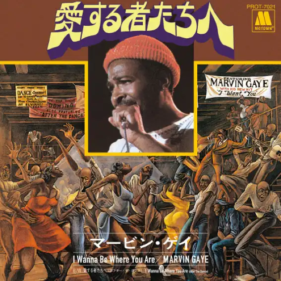 MARVIN GAYE / I WANNA BE WHERE YOU AREΥʥ쥳ɥ㥱å ()