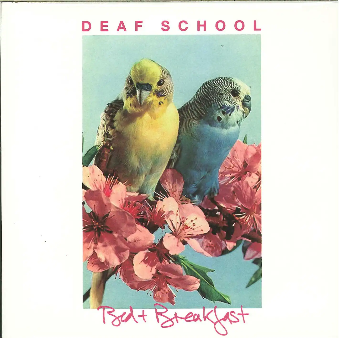 DEAF SCHOOL / BED & BREAKFASTΥʥ쥳ɥ㥱å ()