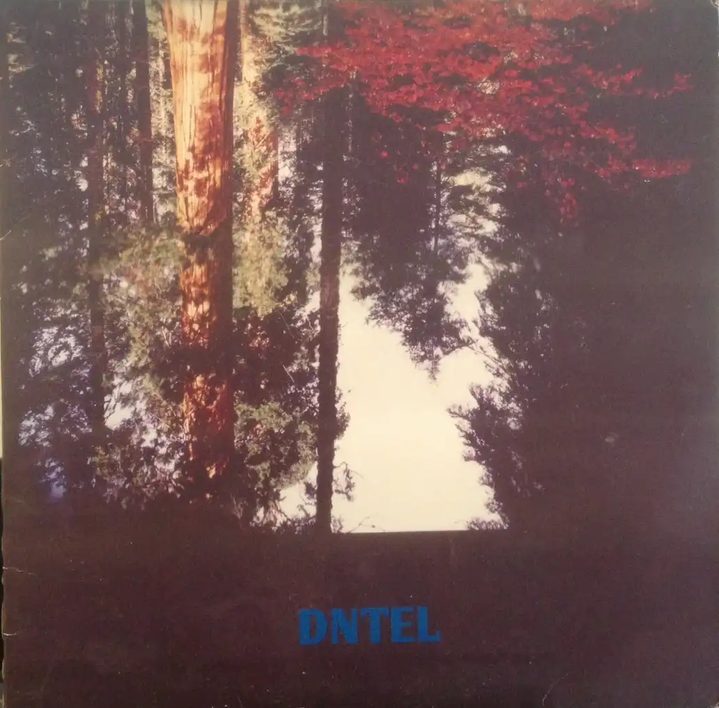 DNTEL / AIMLESSNESS