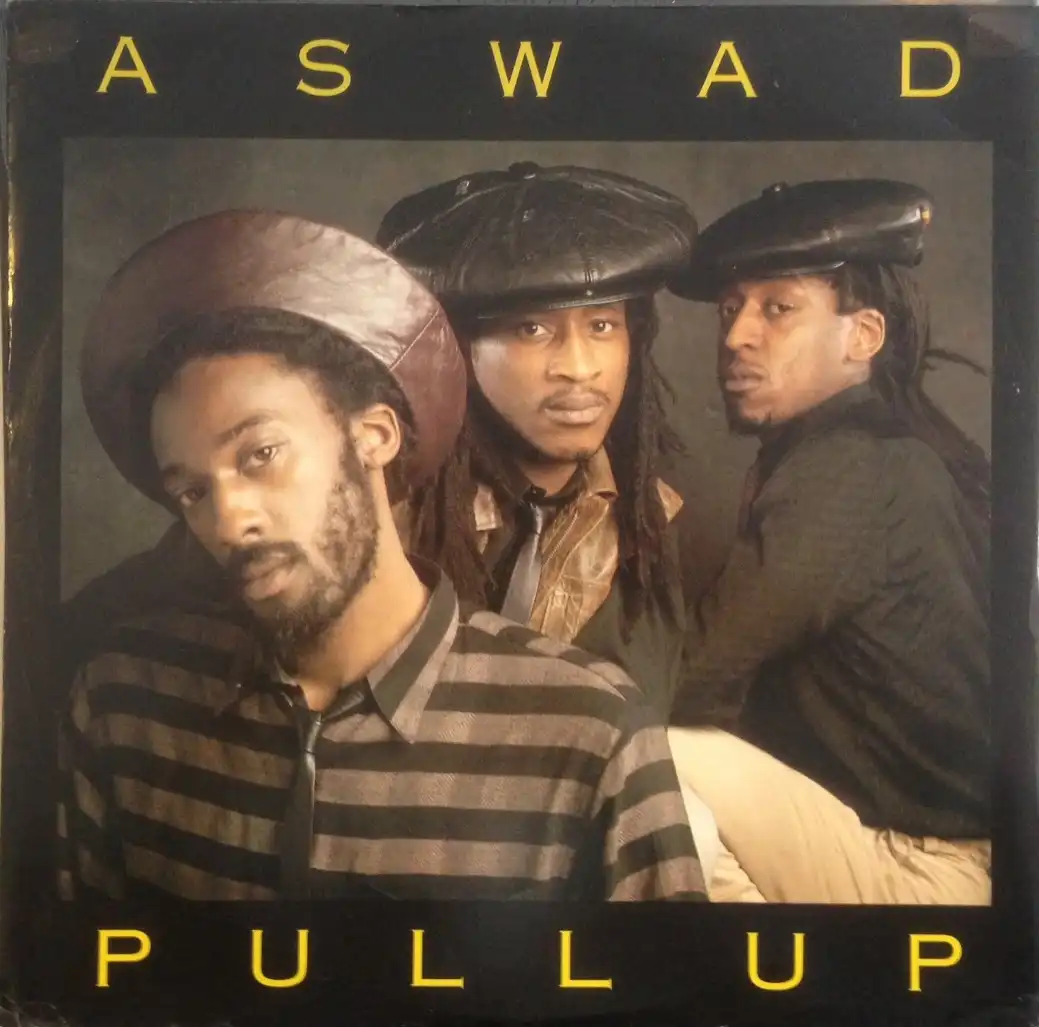 ASWAD / PULL UPΥʥ쥳ɥ㥱å ()