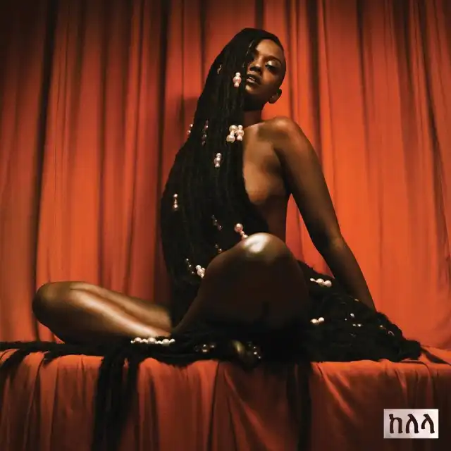 KELELA / TAKE ME APARTΥʥ쥳ɥ㥱å ()