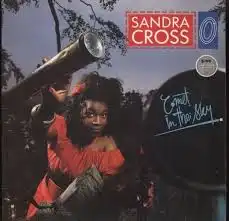 SANDRA CROSS / COMET IN THE SKY