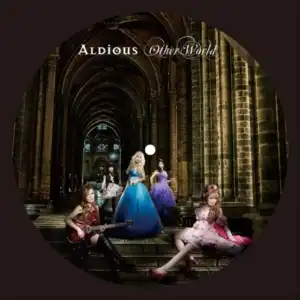 ALDIOUS / OTHER WORLDΥʥ쥳ɥ㥱å ()