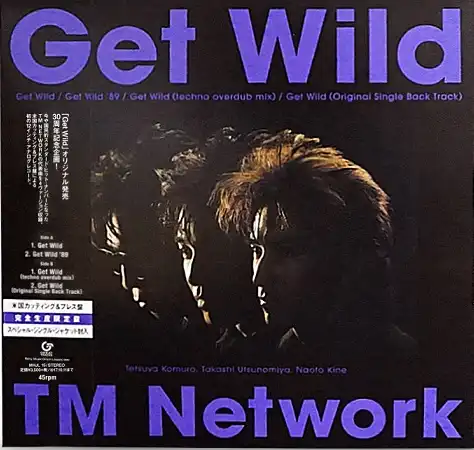 TM NETWORK / GET WILD