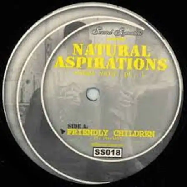 THEO PARRISH / NATURAL ASPIRATIONS (VINYL VERS. PT. 1)