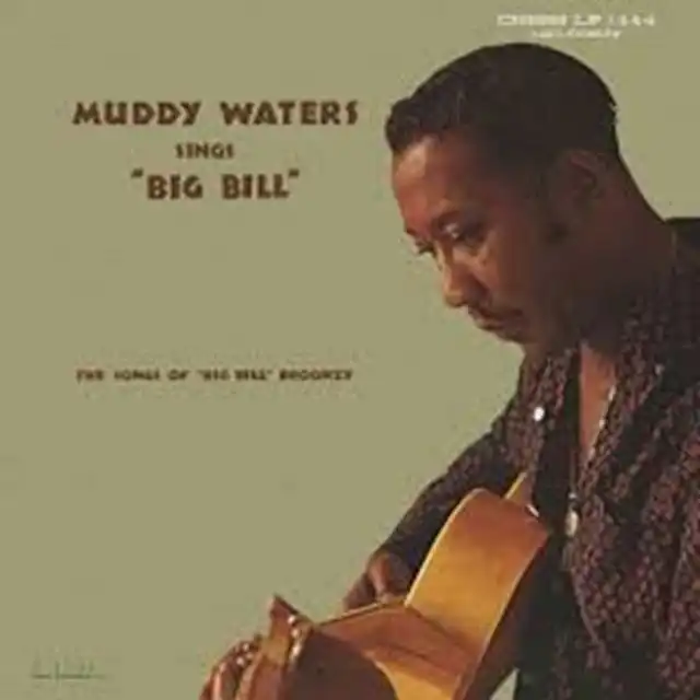 MUDDY WATERS / MUDDY WATERS SINGS BIG BILL BROONZ