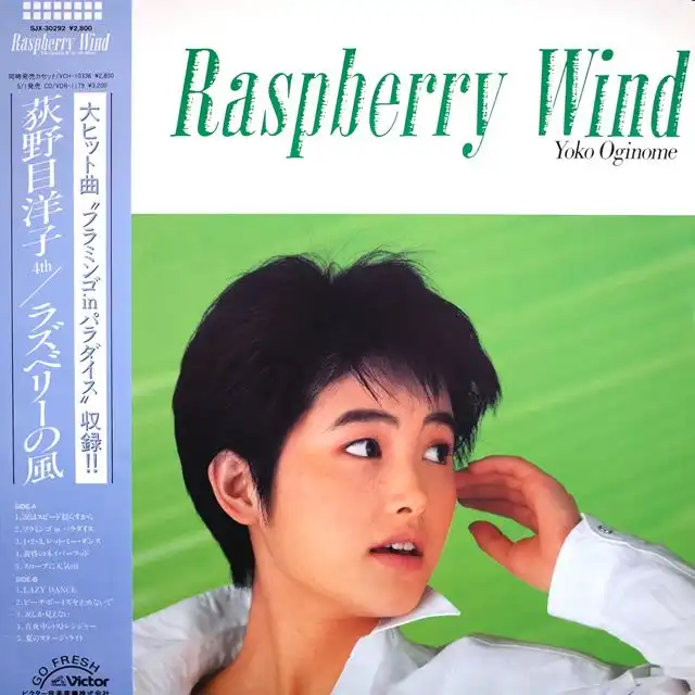 荻野目洋子 / ラズベリーの風