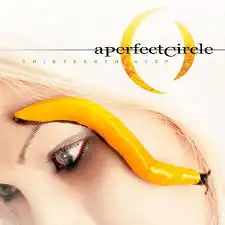 A PERFECT CIRCLE / THIRTEENTH STEP