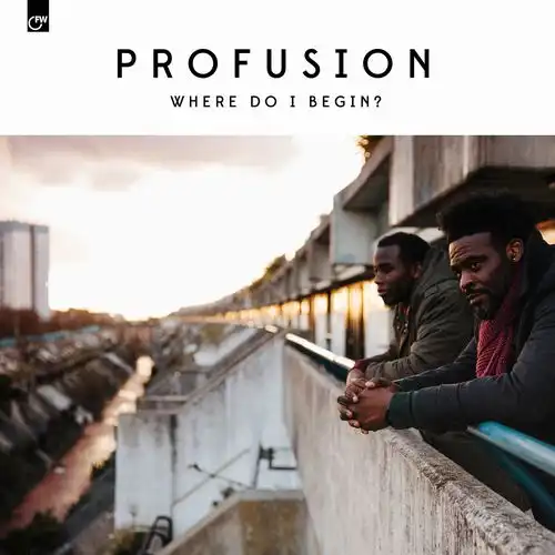 PROFUSION / WHERE DO I BEGIN ?Υʥ쥳ɥ㥱å ()