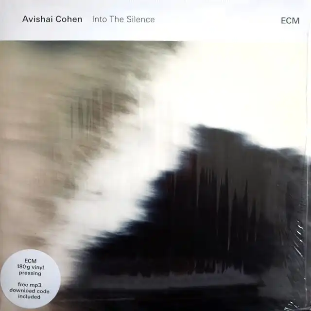 AVISHAI COHEN / INTO THE SILENCE