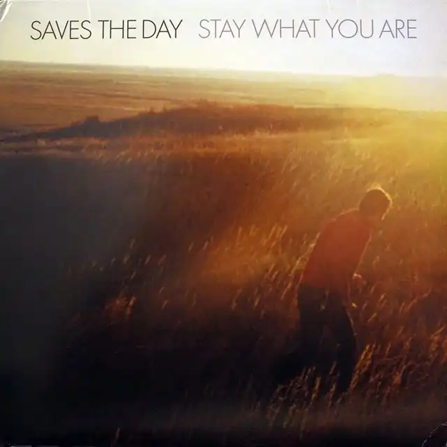 SAVES THE DAY ‎/ STAY WHAT YOU ARE
