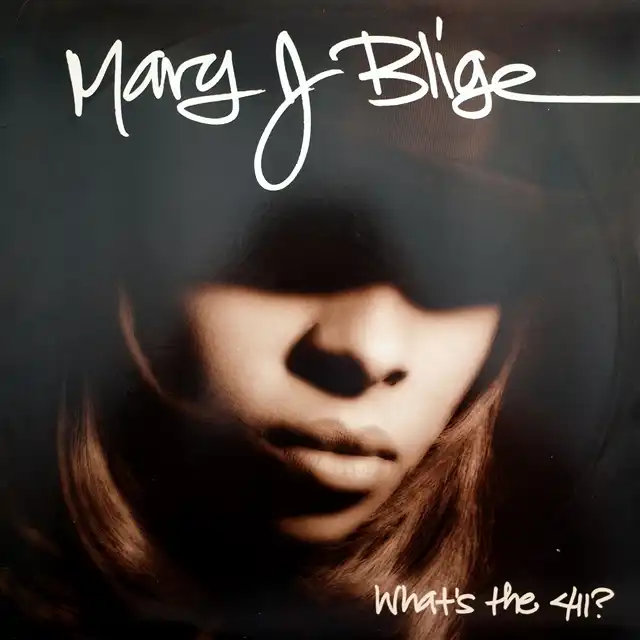 MARY J. BLIGE ‎/ WHAT'S THE 411? [LP ]：RB：アナログレコード専門通販のSTEREO RECORDS