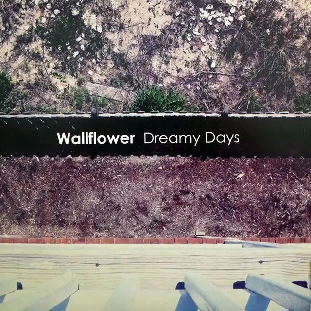 WALLFLOWER / DREAMY DAYS