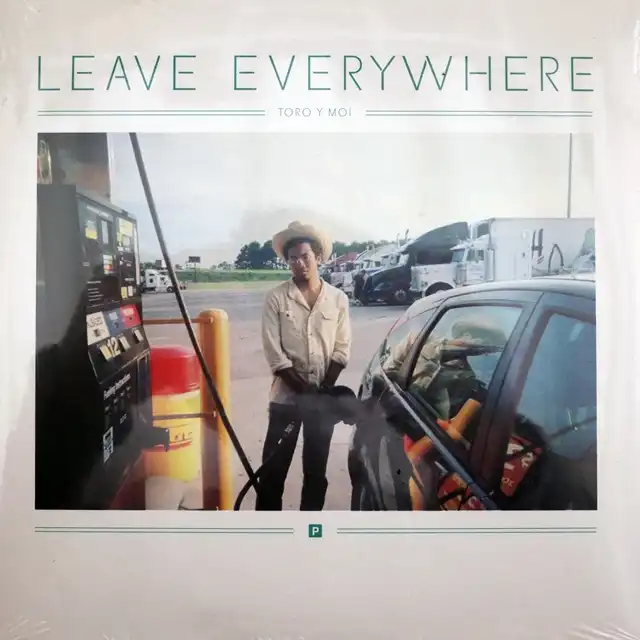 TORO Y MOI ‎/ LEAVE EVERYWHERE