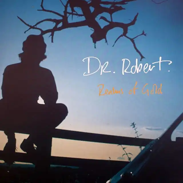 DR. ROBERT ‎/ REALMS OF GOLD