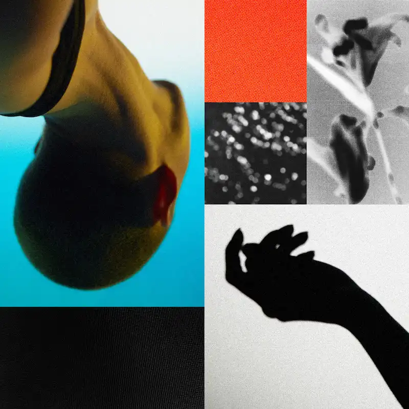 JACQUES GREENE / FEEL INFINITEΥʥ쥳ɥ㥱å ()