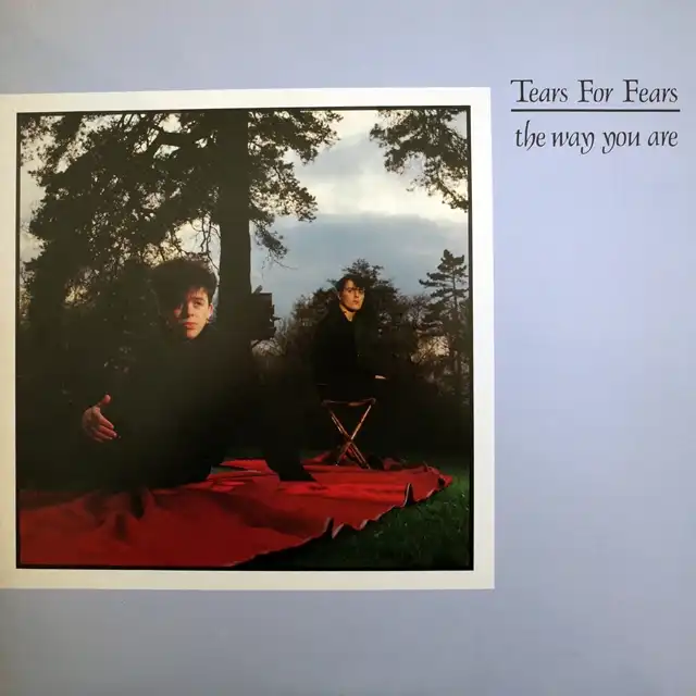 TEARS FOR FEARS ‎/ WAY YOU ARE
