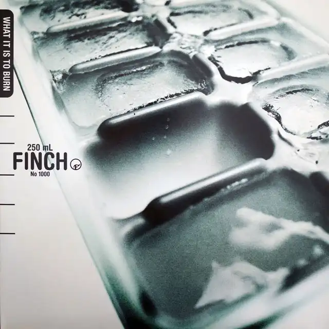 FINCH / WHAT IT IS TO BURN