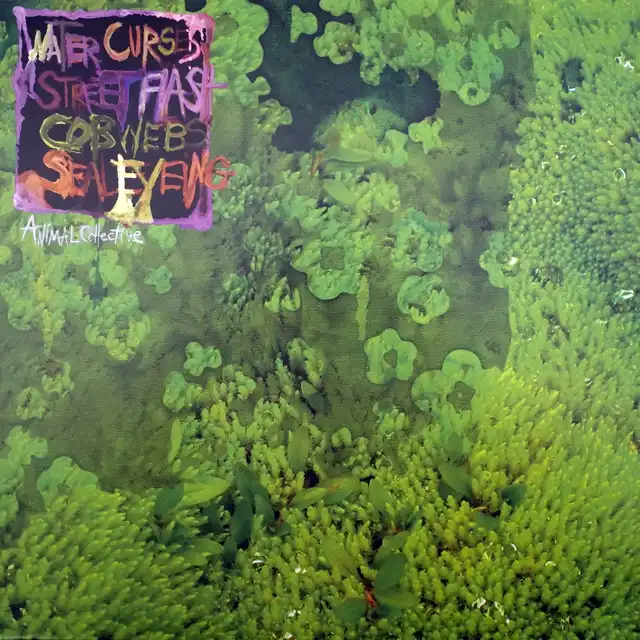 ANIMAL COLLECTIVE ‎/ WATER CURSES