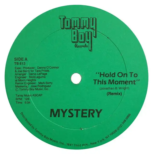 MYSTERY / HOLD ON TO THIS MOMENT