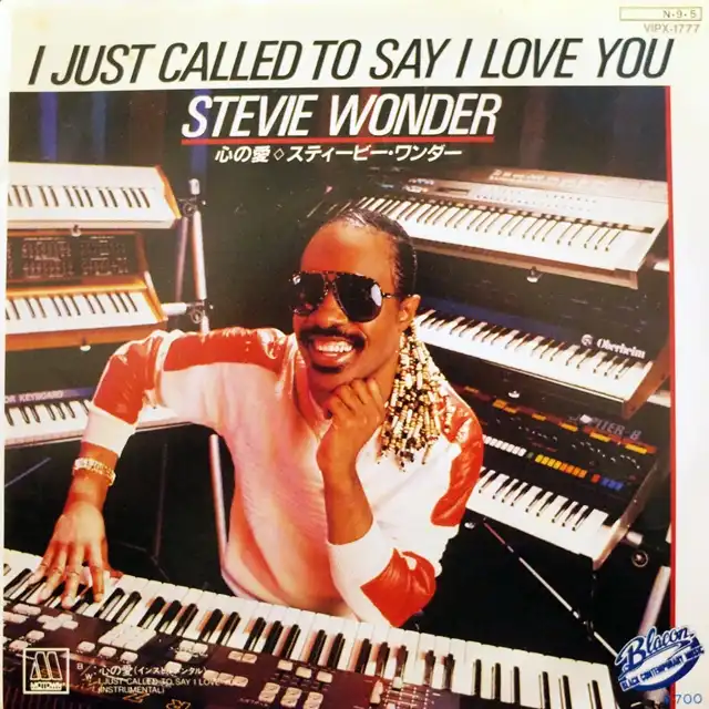 STEVIE WONDER ‎/ I JUST CALLED TO SAY I LOVE YOU
