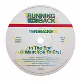 TENSNAKE ‎/ IN THE END (I WANT YOU TO CRY)