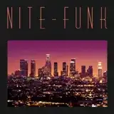 NITE-FUNK (DAM-FUNK & NITE JEWEL) / SAMEΥʥ쥳ɥ㥱å ()