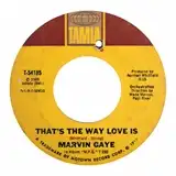 MARVIN GAYE ‎/ THAT'S THE WAY LOVE IS  GONNA KEE