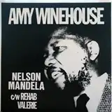 AMY WINEHOUSE / NELSON MANDELAΥʥ쥳ɥ㥱å ()