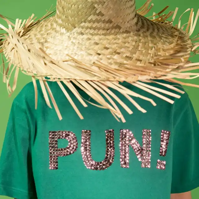 PUNPUNCIRCLE / PUN!Υʥ쥳ɥ㥱å ()