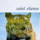 SAINT ETIENNE ‎/ PALE MOVIE