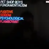 PET SHOP BOYS ‎/ FUNDAMENTALISM (PART 1)